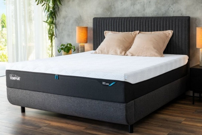 Adjustable Bed Frame