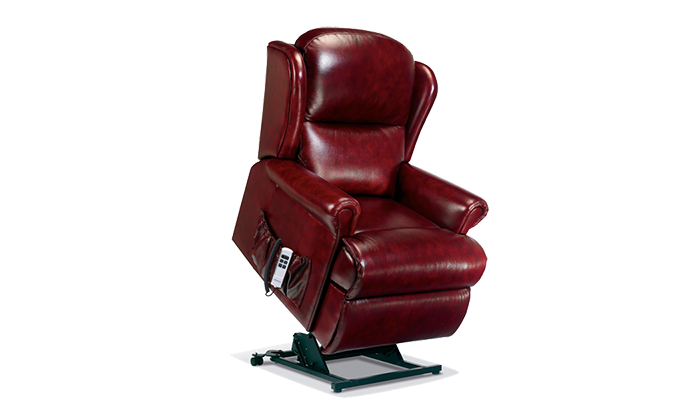 Standard 2 Motor Riser Recliner