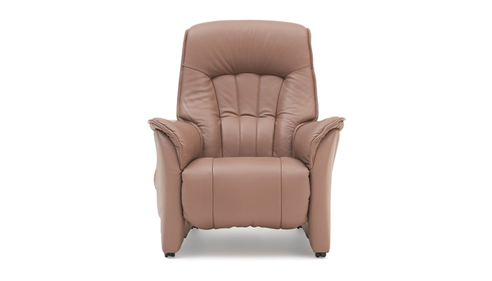 Power Recliner (Large)